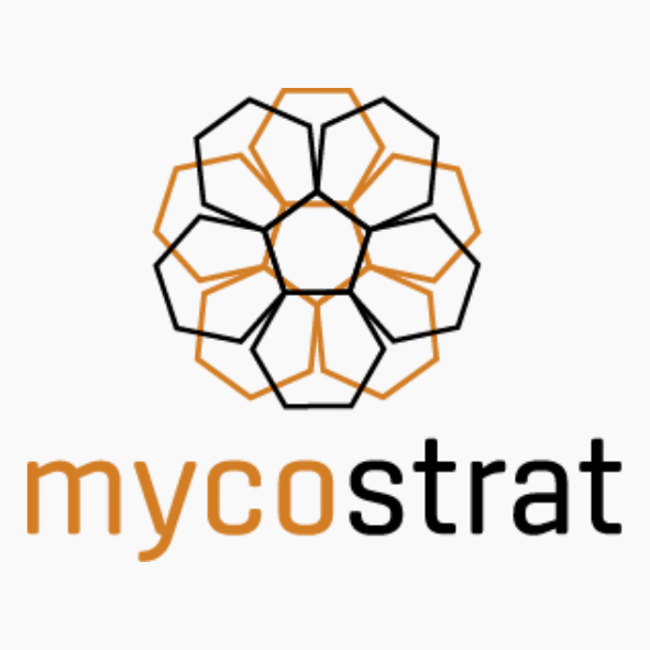 MycoPlex – A recyclable and bio-based lightweight wall module